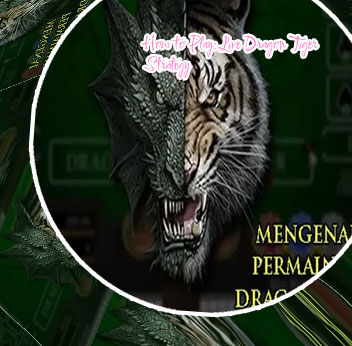 Dragon tiger odds