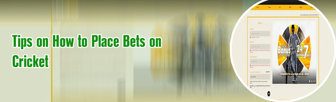 How to stake bet on sky247