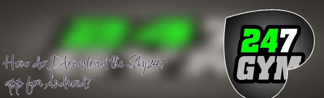Raja sky247 download